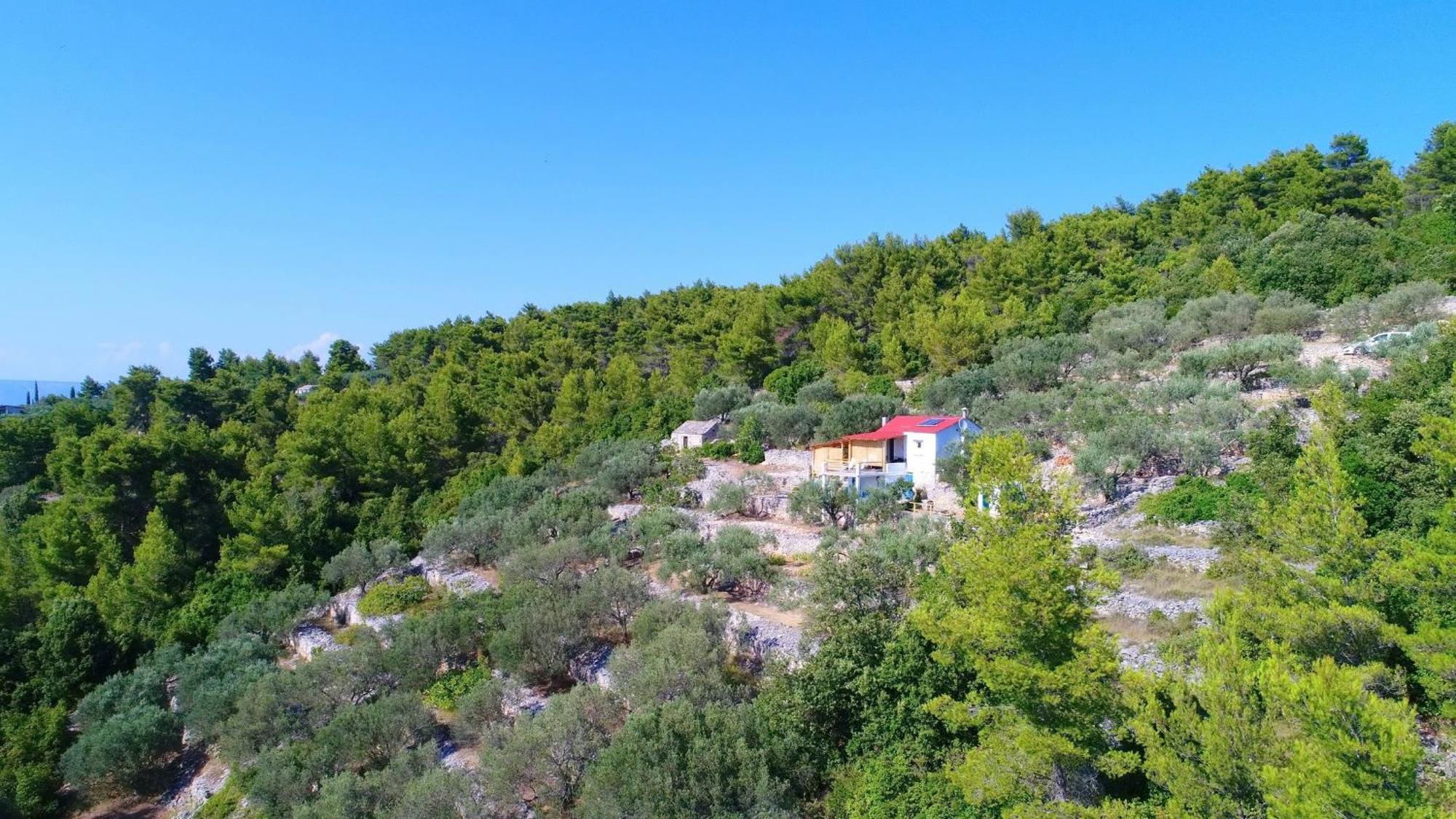 Greenside Cottage Lumi Vela Luka Exterior photo