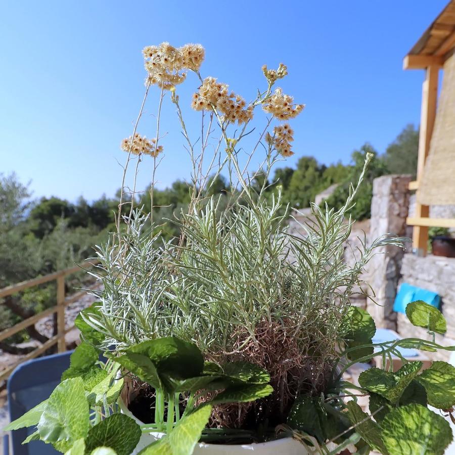 Greenside Cottage Lumi Vela Luka Exterior photo